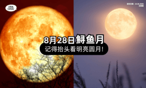 【8月28日迎满月❗】晚上记得抬头看「鲟鱼月⚡」分享名字背后的故事