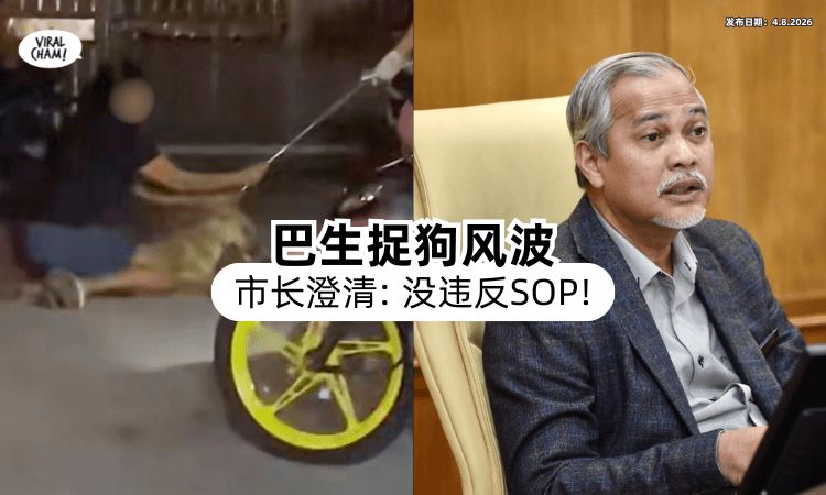 【没违反SOP❗】狗狗Rocky勒毙风波⚡ 巴生市长：疑主人介入导致悲剧