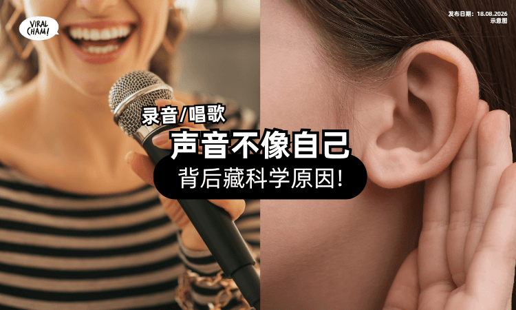 【录音里的声音】总觉得「不像自己⚡」背后藏科学原因❗