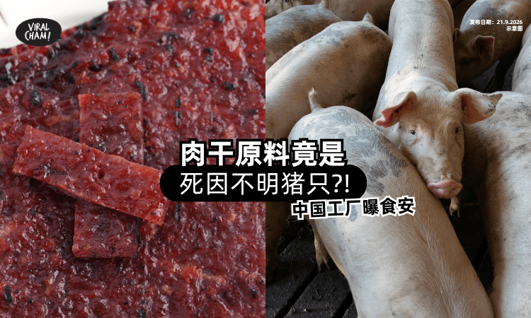 【猪病毒阳性❗】疑用「死因不明猪」制作肉干⚡ 中国腊味厂惊曝食安！