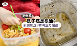 【洗了还是很油❓️】便当盒卡油垢「加这3样东西」狂摇30秒⚡️清洁效果超惊人！