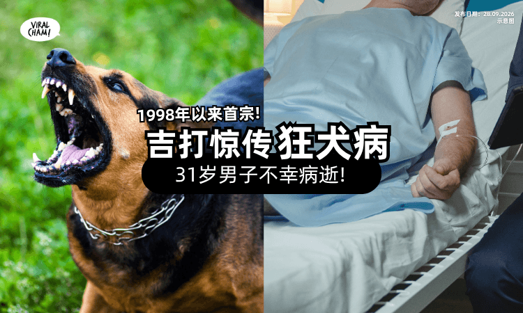 【遭流浪狗咬伤❗】吉打惊传首宗「狂犬病⚡」31岁男子不幸病逝!
