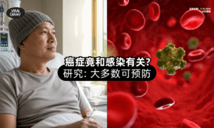 【每8宗就有1宗⚡】癌症竟和感染有关❓ 研究发现：大多数可预防！
