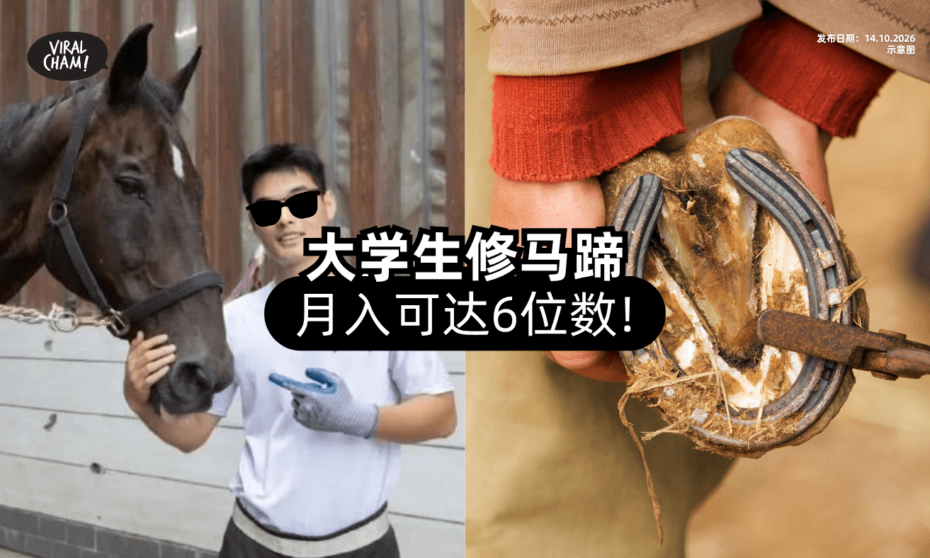 【大学4年毕业❗】他靠「修马蹄⚡」月收入可达6位数！