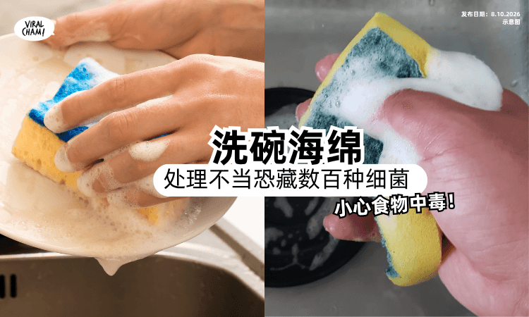 【小心食物中毒❗️】家里常见的「洗碗海绵」若处置不当⚡️恐藏数百种细菌！
