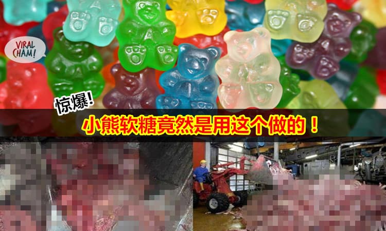 太勁爆！小熊軟糖竟然是用這個做的！知道了不敢再吃了。 。 。