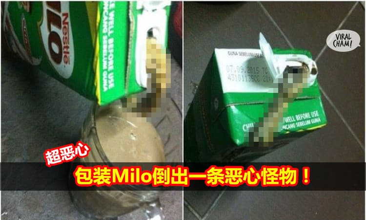 喜歡喝Milo的看這裡！太噁心了，再也不敢喝Milo。 。 。