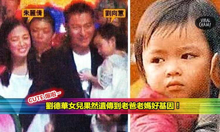 【劉德華全家福罕見大曝光!】3歲女兒爆可愛！網友：基因真的很重要！