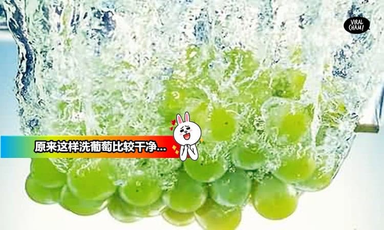 【洗了葡萄那么多年,方法都用错了】原来葡萄是要这样洗才是正确的！