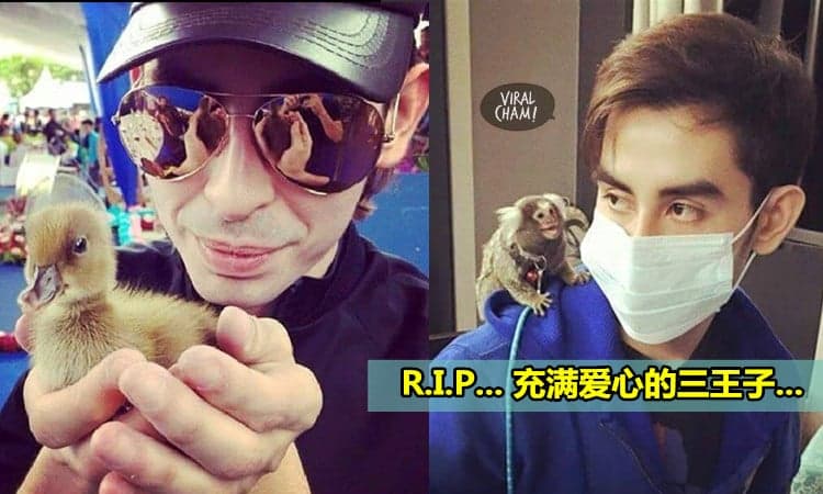 【他是真正的王子】對動物有愛心、待人有禮、有愛心…網友: 為什麼好人都要這麼早走？