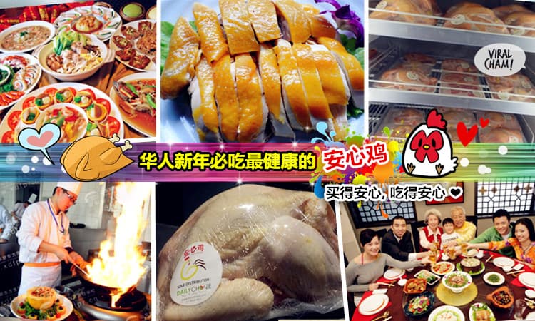 【KL的朋友必吃”安心雞”】「無」抗生素&生長激素！超級健康KOKOGAI～