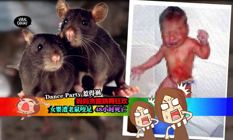 【老鼠又再咬死人？】妈妈为出席舞会竟把女儿留在家中，4个月大女婴活活被老鼠咬死！慎入，好血腥~