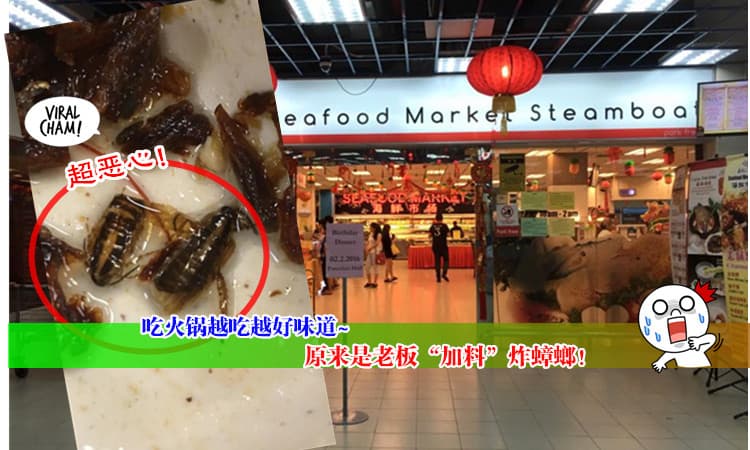 【N_K超市火锅”加料”】吃火锅竟然附送蟑螂 而且不止一只! 还要吃完才发现…  网友疯传狠批~你还敢吃吗? ( ⊙ o ⊙ )