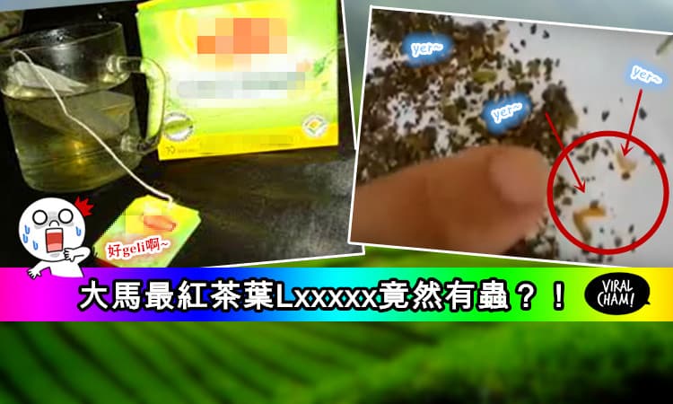 【內有視頻】OMG~大馬最紅茶葉Lxxxxx竟然有蟲？！而且還是活的！太惡心了Σ( ° △ °|||)︴看你還敢不敢喝 ！