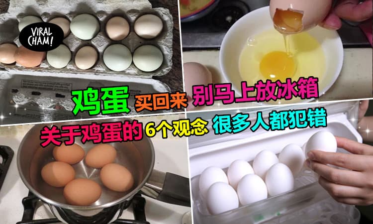 ◤原来鸡蛋买了不能直接放冰箱!?◢一般人最常犯的「鸡蛋6大错误观念」,看后就别再犯错了！