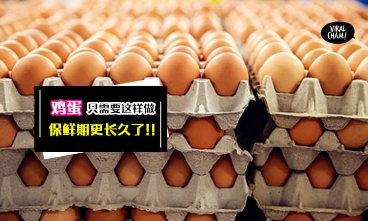 【鸡蛋放冰箱了还是很容易坏?】简单教你一招就能让鸡蛋の保鲜期更长久, 这样就不怕鸡蛋很快变质啦！