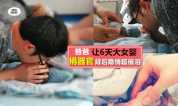 【遗爱人间】善良爸爸忍痛让初生6天女儿成为最年轻器官捐赠者,真相让大家都泪崩了…