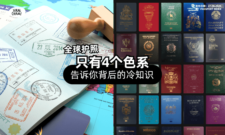 【Passport不是只有红色❗】全球护照「分为4个色系⚡」揭秘背后的冷知识