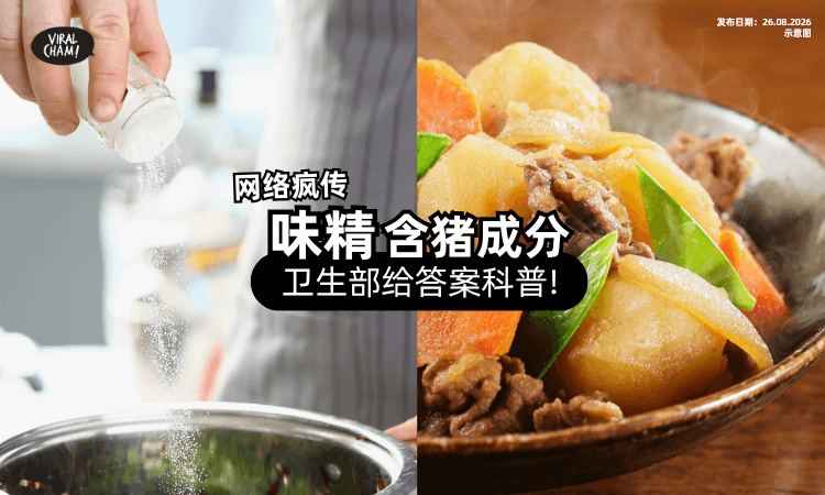 【网络上疯传❗】调味用味精「含猪成分❓」卫生部给答案科普!