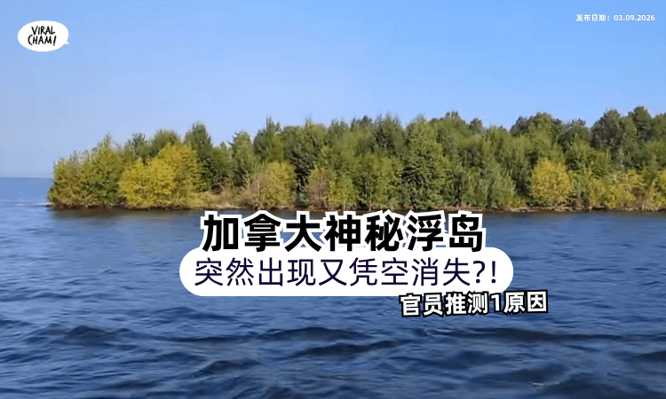 【凭空消失❓】加拿大“神秘浮岛”突然现身又不见⚡️官员推测「1原因」警告:切勿登岛!