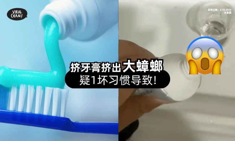【头皮发麻❗】挤牙膏竟挤出一整只大蟑螂😱 疑「1坏习惯」导致!
